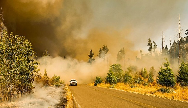 Record and abnormal temperatures, drought and fires… July 2022, one of the hottest in history